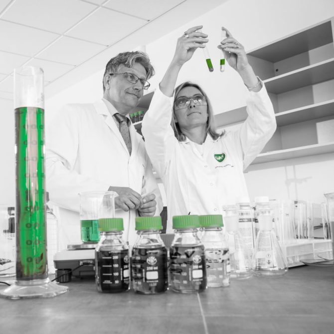 GAT Gaby Urban Ölprinzessin von Thüringen
Text: Karo Ring
Uhlstädt-Kirchhasel, 28.9.2016
(c) Niels Starnick / Bild am Sonntag